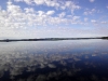 DSC00449.jpg