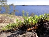 DSC00556.jpg