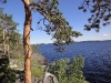 DSC00558.jpg