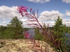 PICT0018.jpg