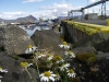 askanes_hafen.jpg