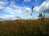 gras_snaefellsnes.jpg
