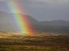 rainbow.jpg